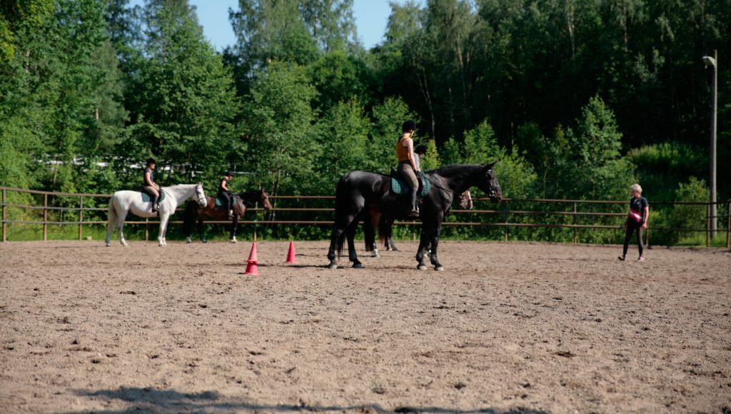 Ratsastuskoulu Poni-Haka kuva
