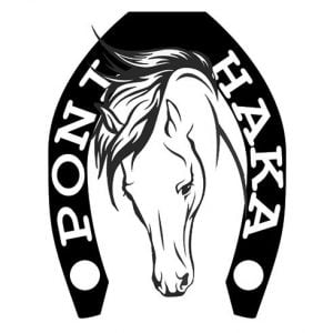 Poni-Haka Oy Logo